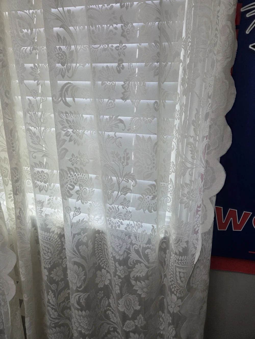 Ivory Sheer Lace Curtains - Light Filtering Floral Panels